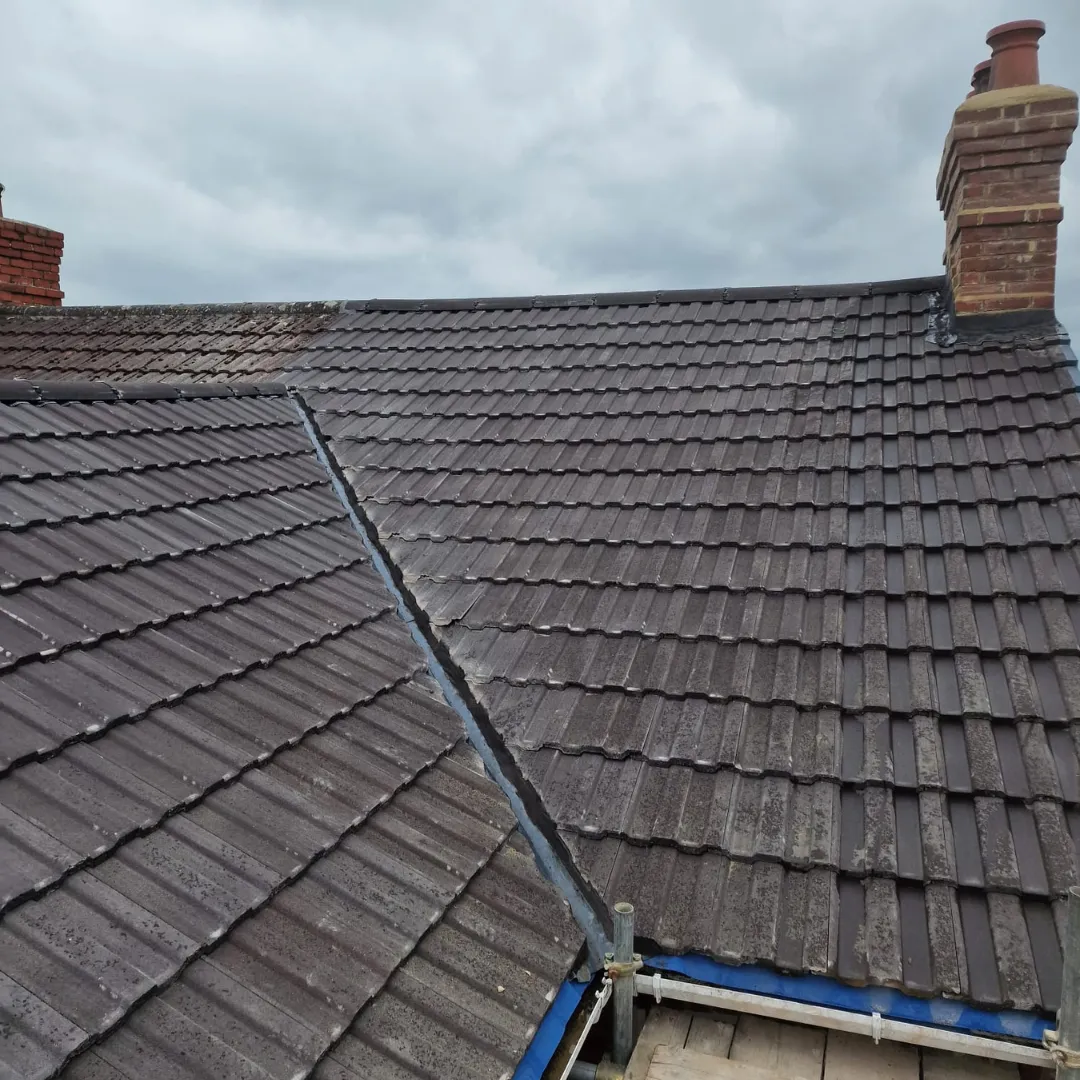 Recent roof project