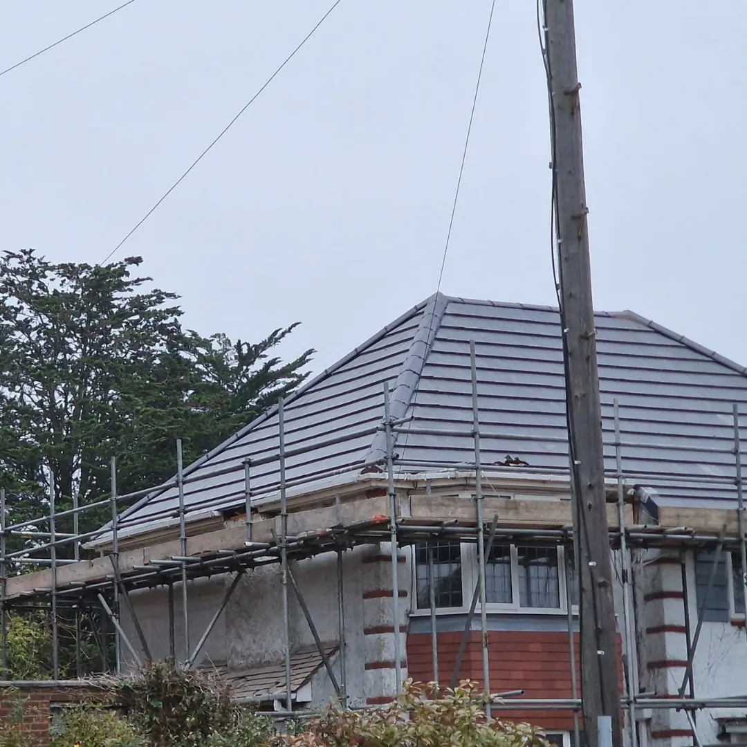 Recent roof project