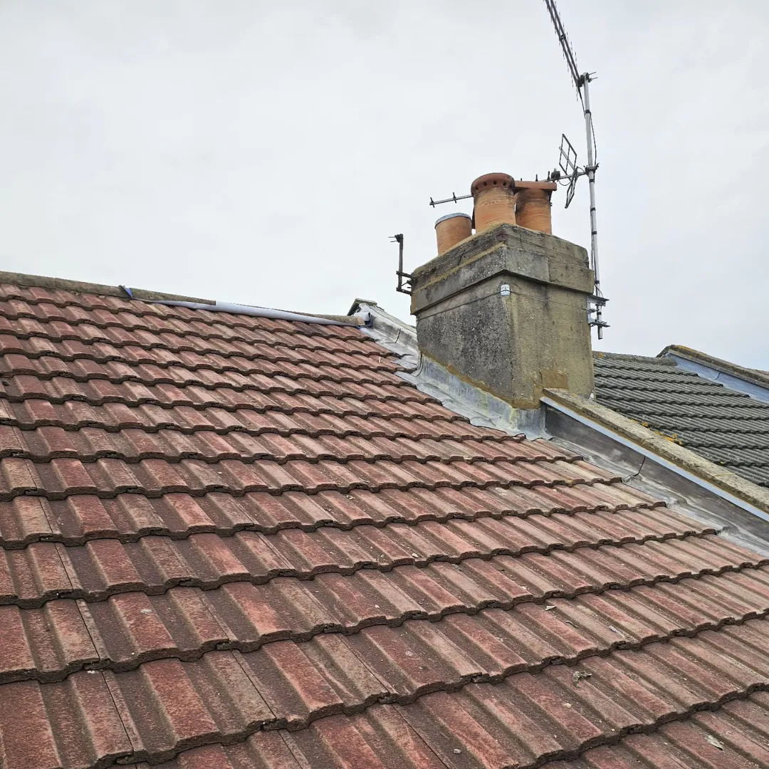 Recent roof project